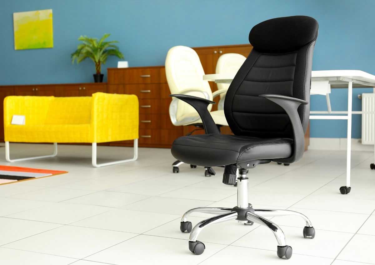 Professional Office Chairs in Delhi