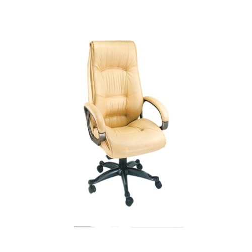 Cream New MD Chair Manufacturers, Wholesale Suppliers in Hisar